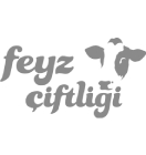 Feyz